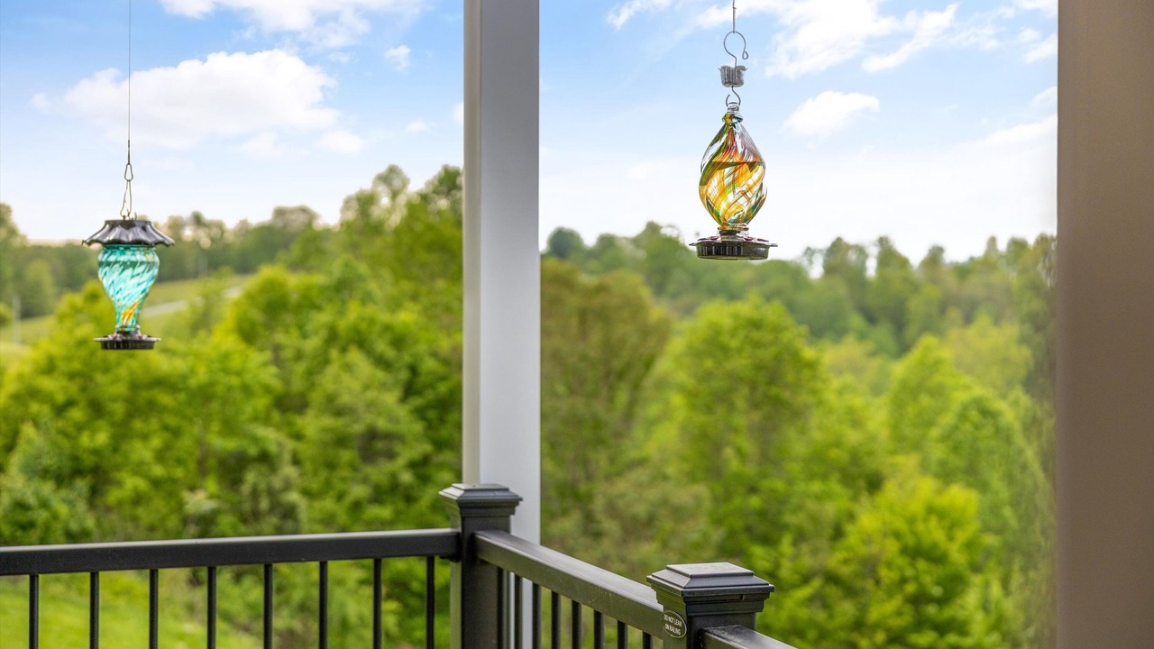 Photo of Outdoor in Sharps Chapel