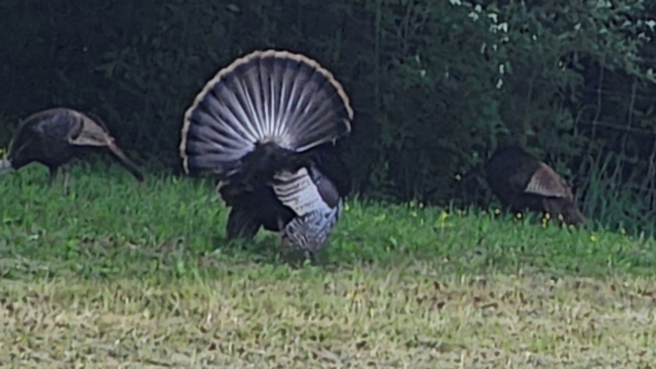 Photo of Others in Lewisburg