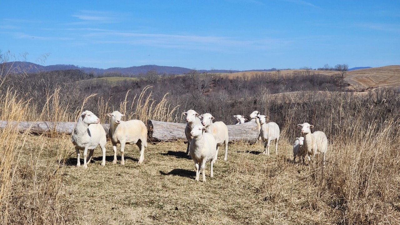 Photo of Others in Lewisburg