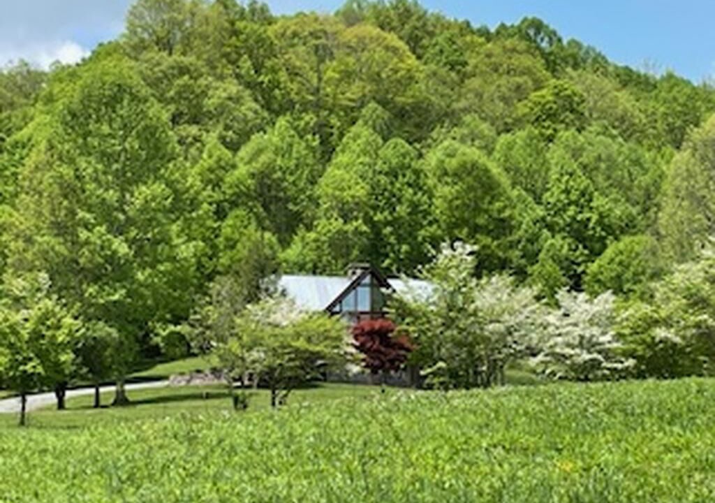 Photo of Outdoor in Todd