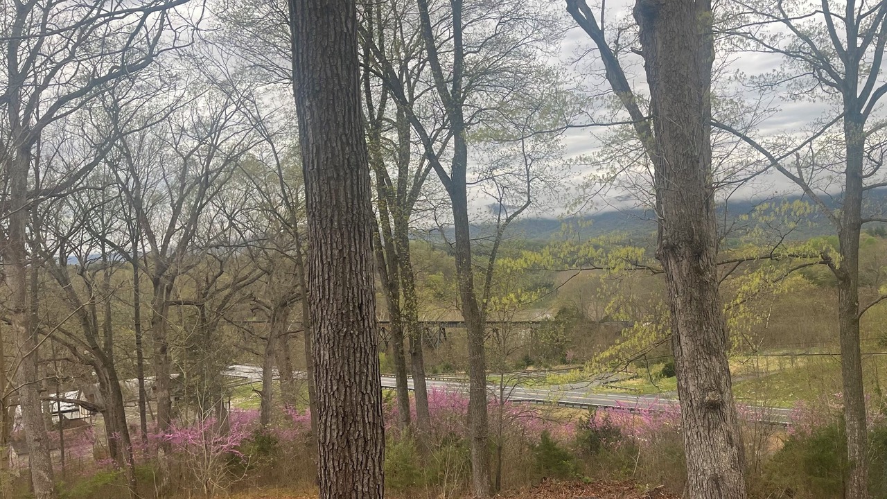 Photo of Others in Rileyville