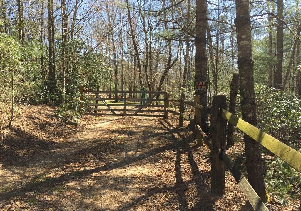 Photo of Others in Cedar Mountain