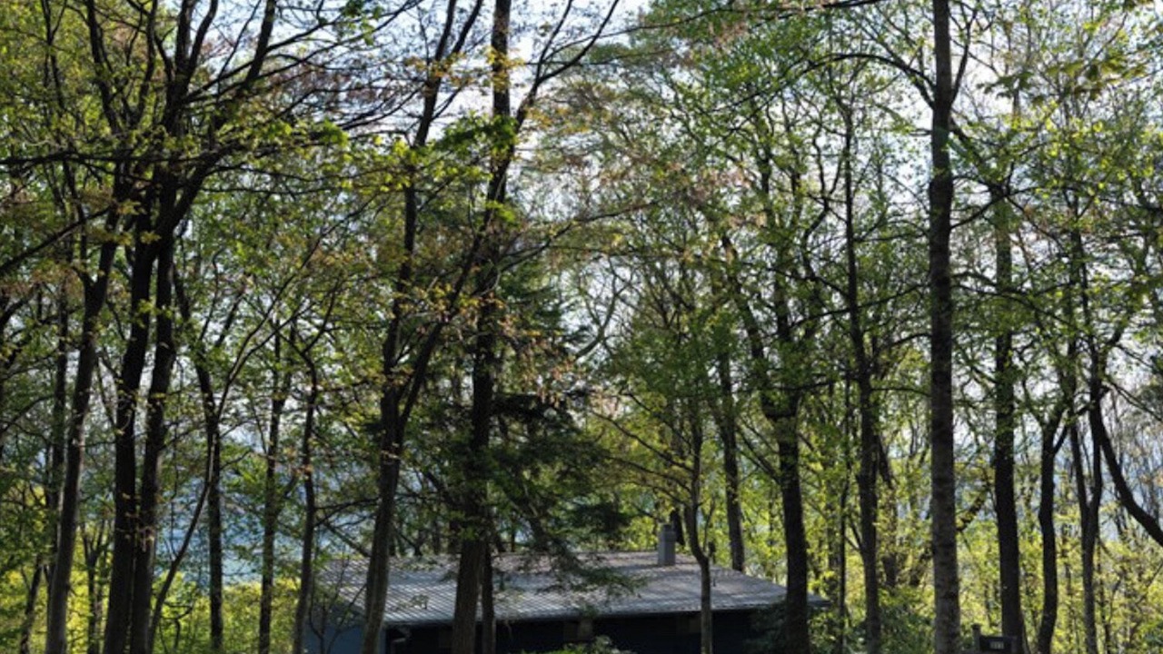 Photo of Others in Dan River