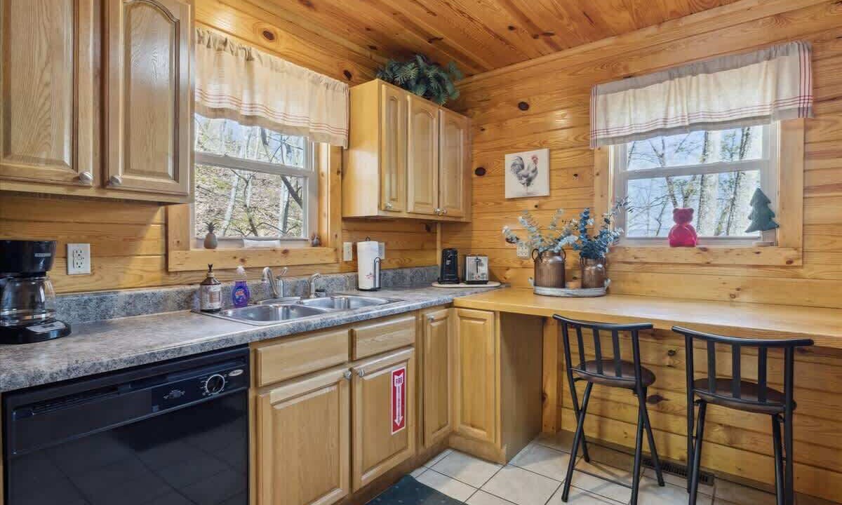 Photo of Others in Smoky Mountains
