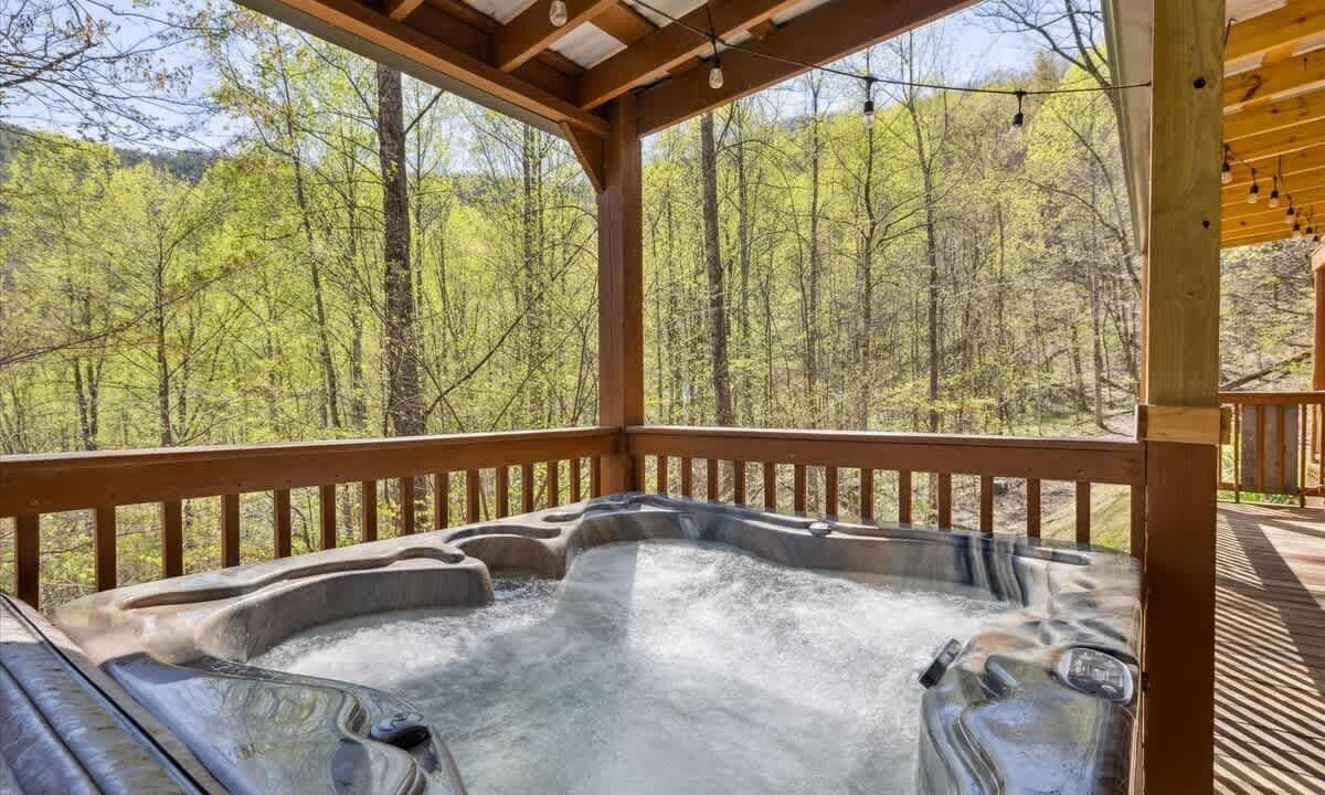 Photo of Others in Smoky Mountains