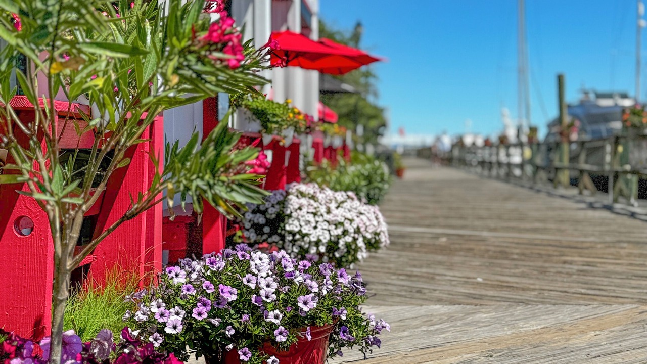 Photo of Outdoor in Morehead City