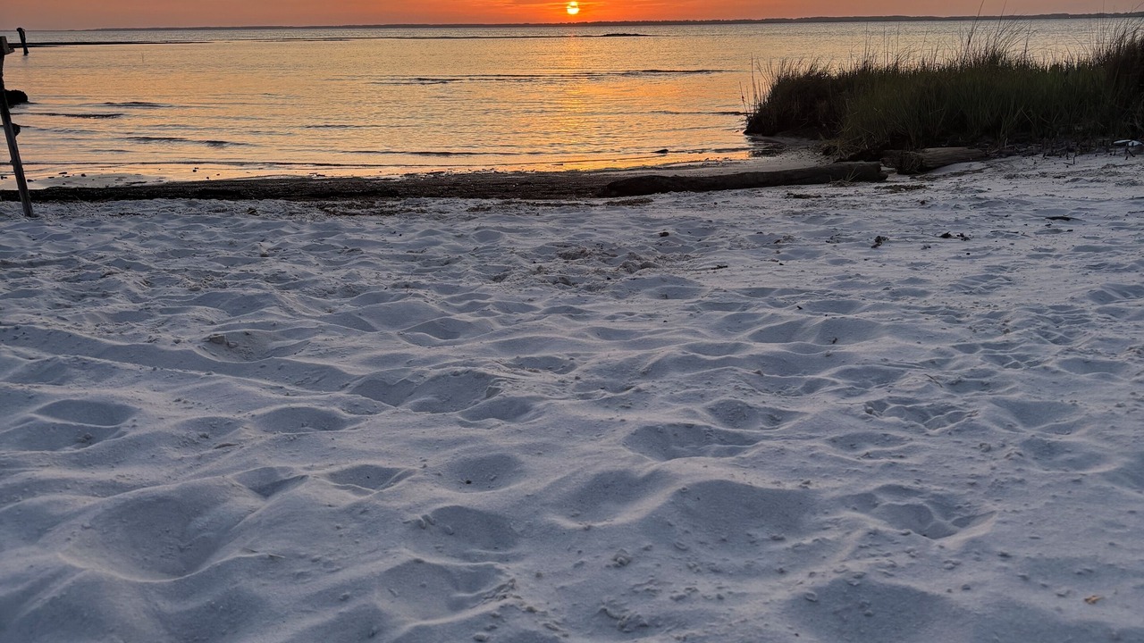 Photo of Others in Beaufort