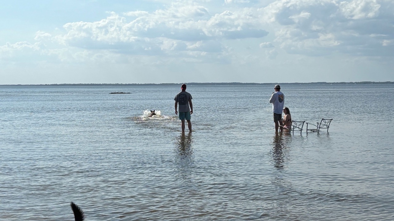 Photo of Others in Beaufort