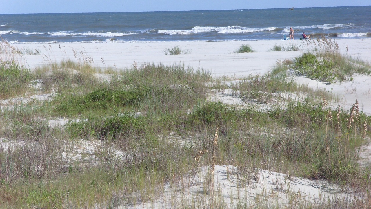 Photo of Others in North Myrtle Beach