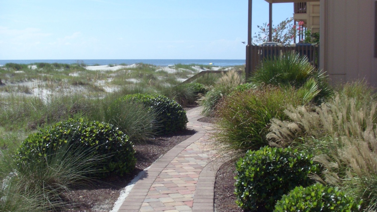 Photo of Outdoor in North Myrtle Beach