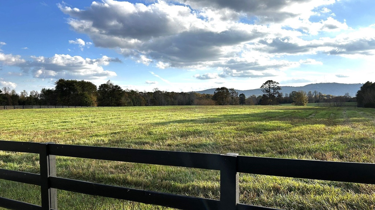 Photo of Others in Travelers Rest