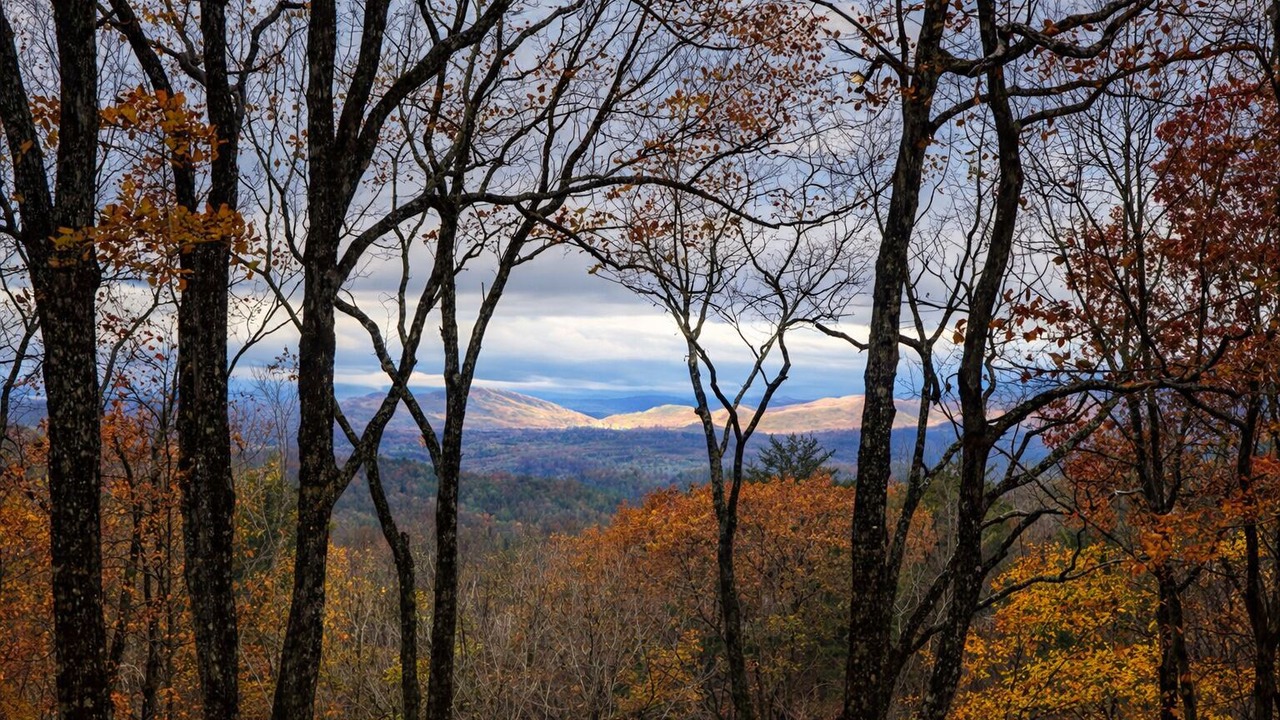 Photo of Others in Walnut Mountain