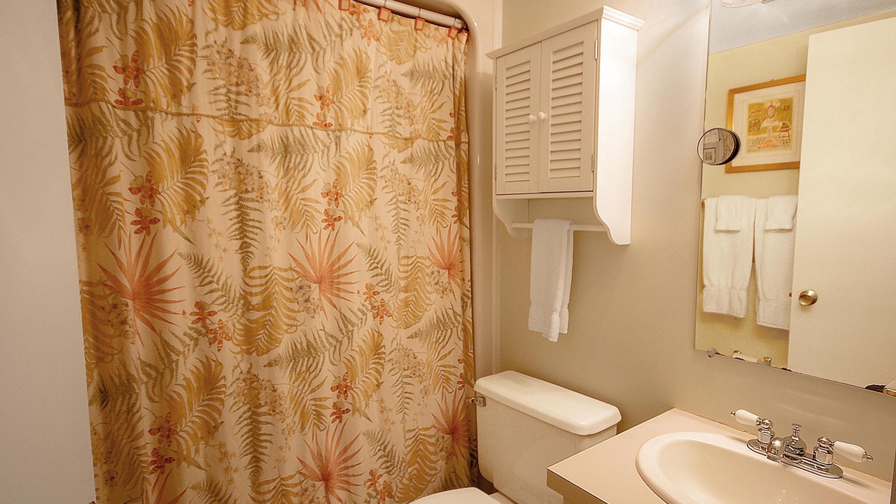 Photo of Bathroom in Snowshoe
