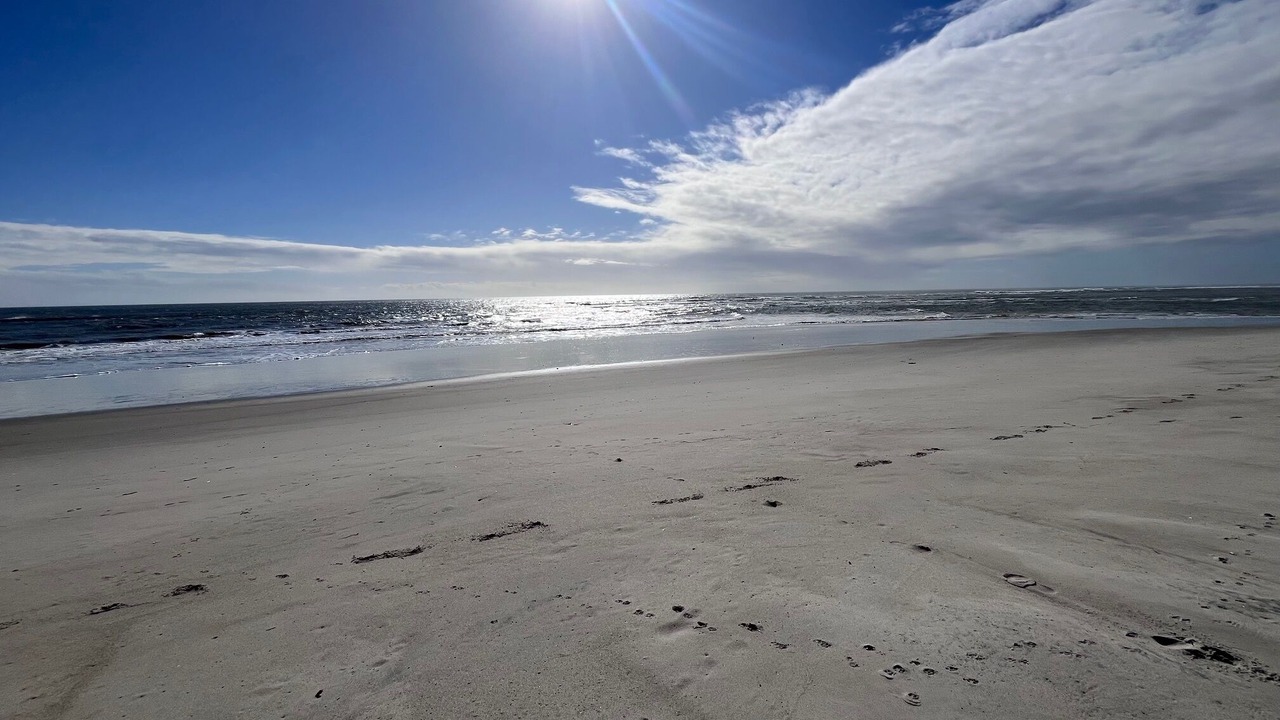 Photo of Others in Oak Island