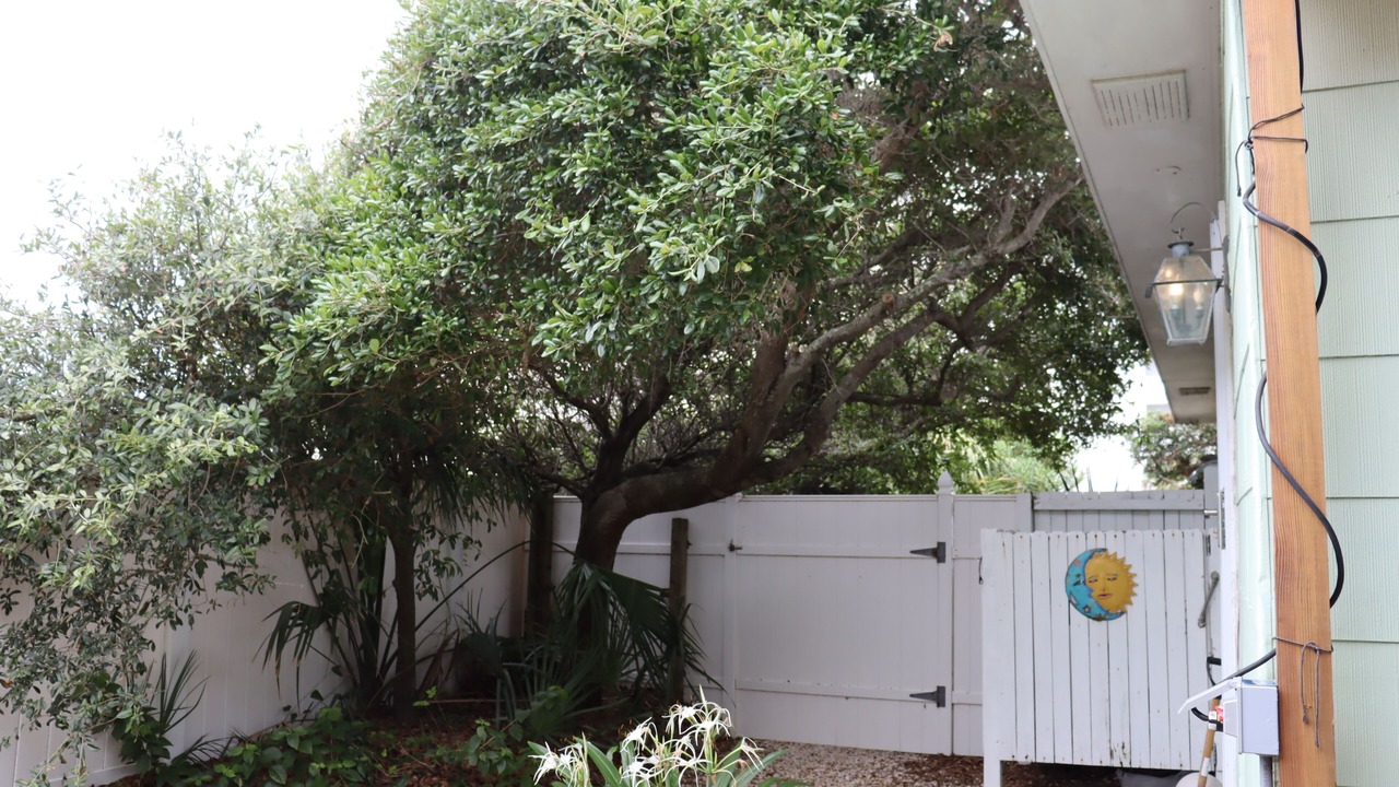 Photo of Outdoor in Wilmington Beach