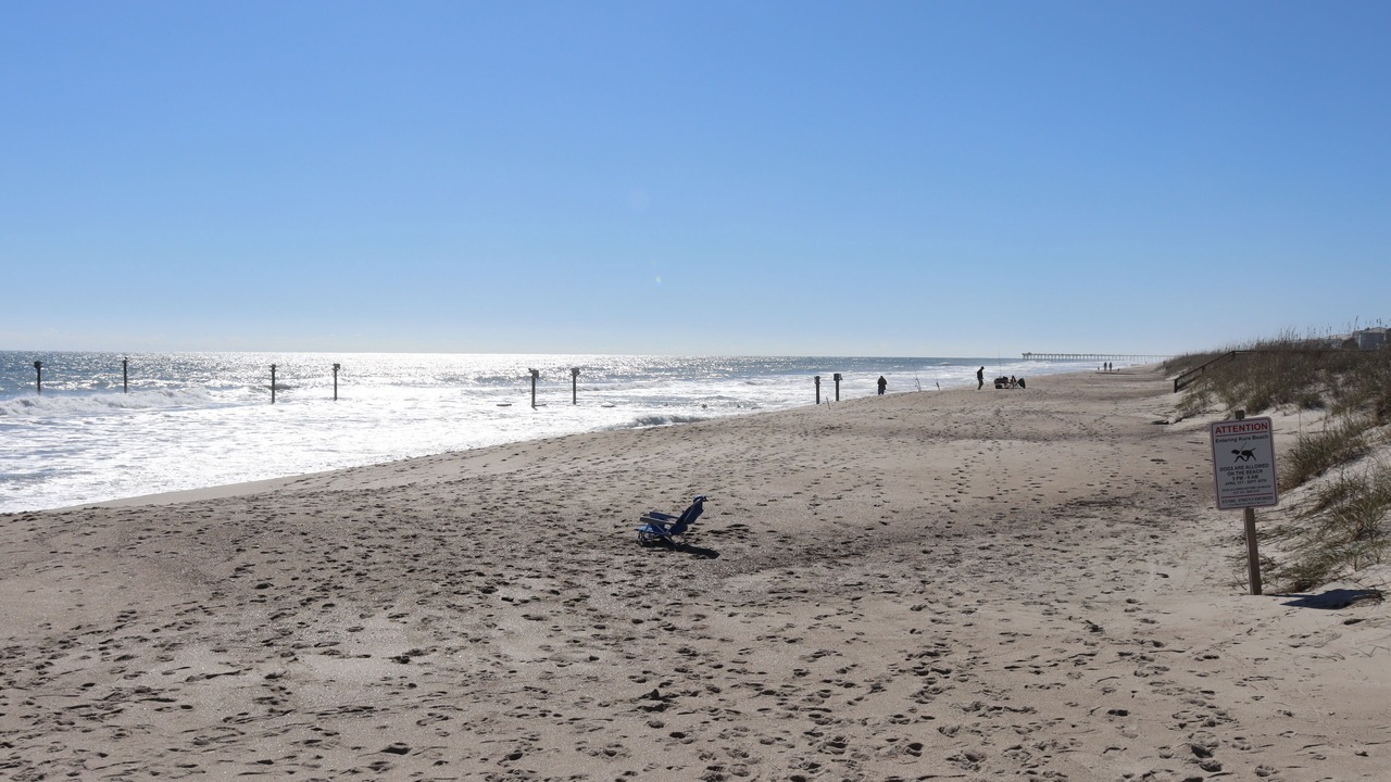 Photo of Others in Wilmington Beach