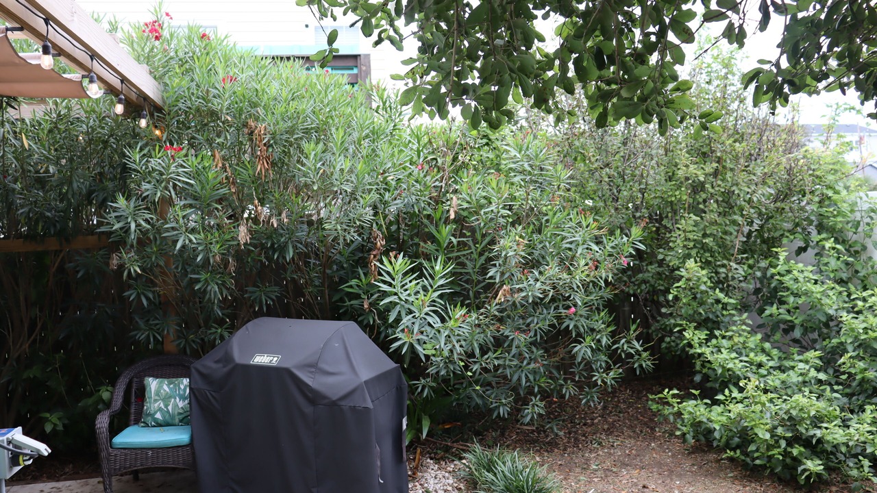 Photo of Outdoor in Wilmington Beach