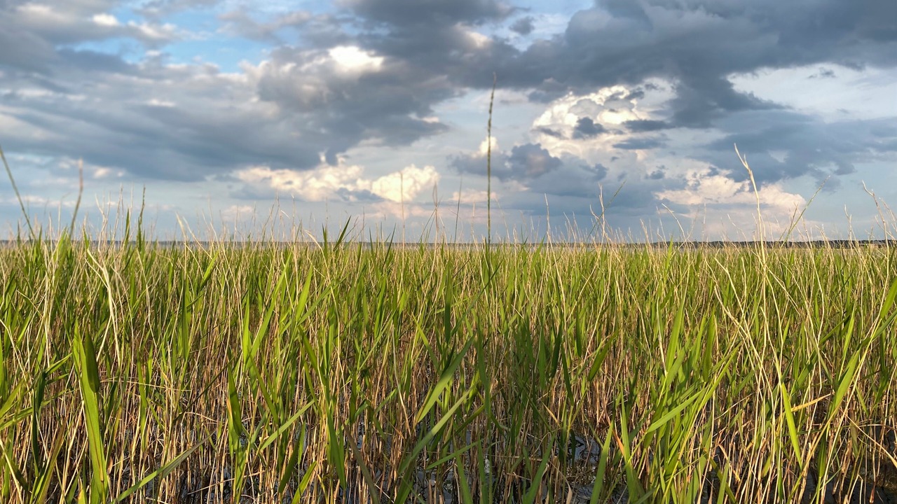 Photo of Others in Lake Waccamaw