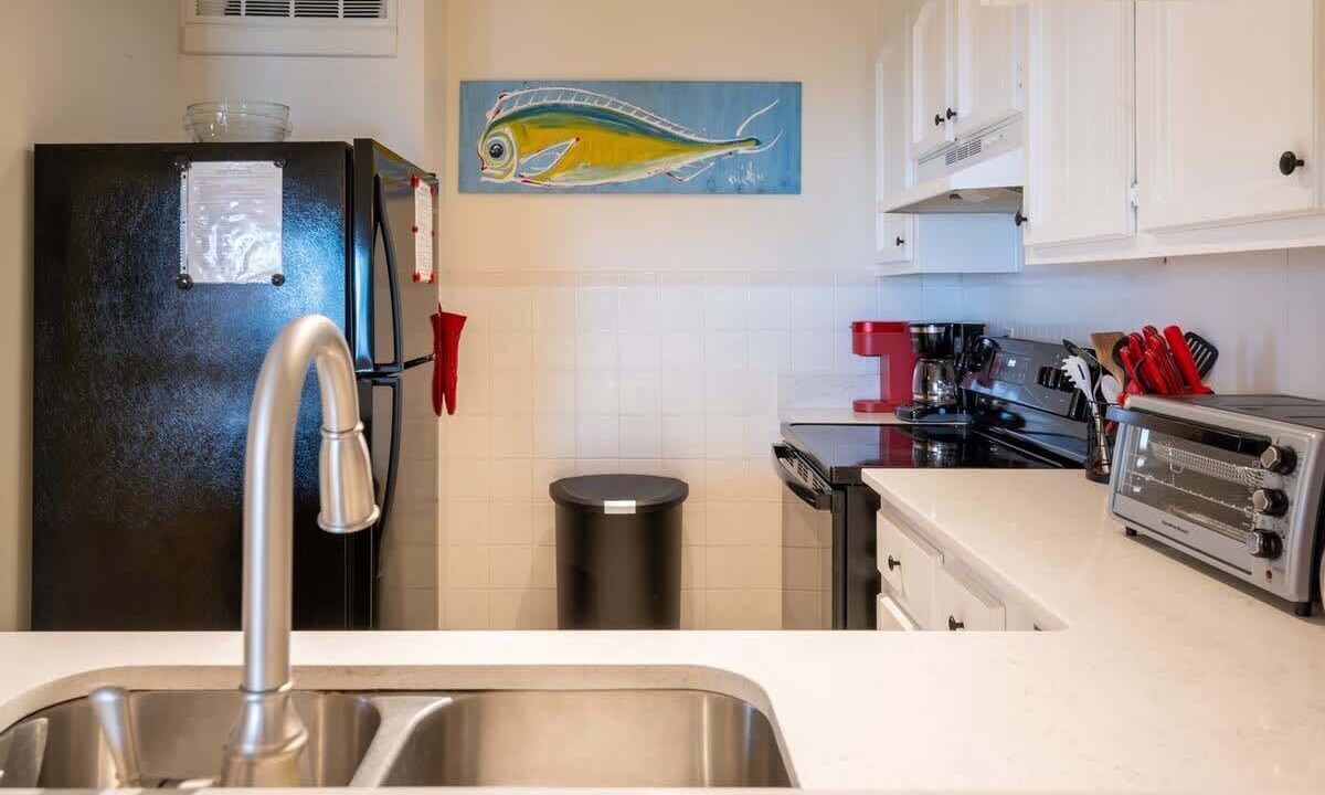 Photo of Others in North Carolina Coast