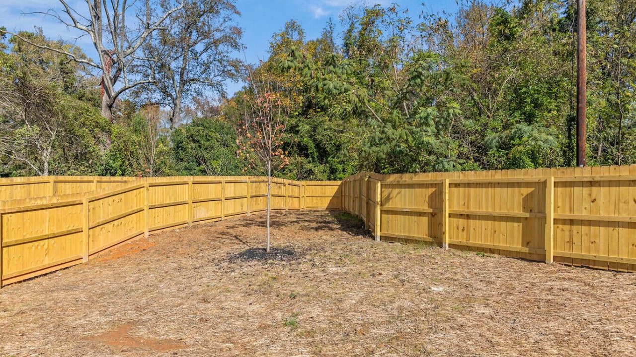 Photo of Outdoor in Paw Creek