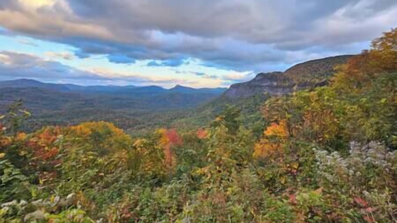Photo of Outdoor in Franklin