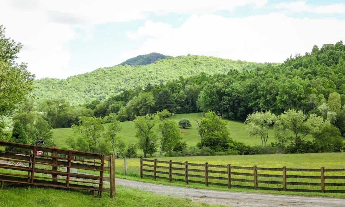 Photo of Others in Willis