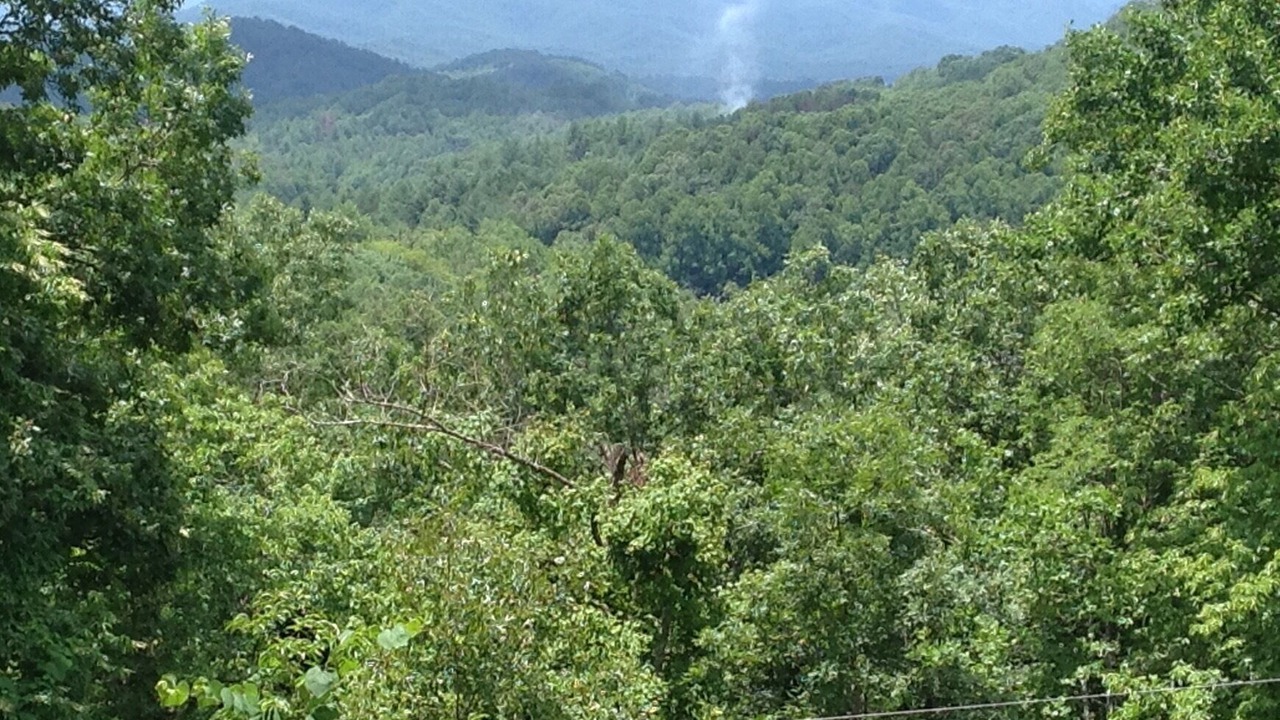 Photo of Others in Franklin