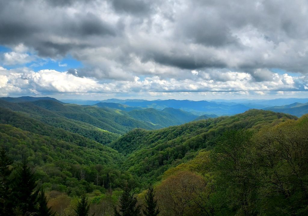 Photo of Others in Pigeon Forge