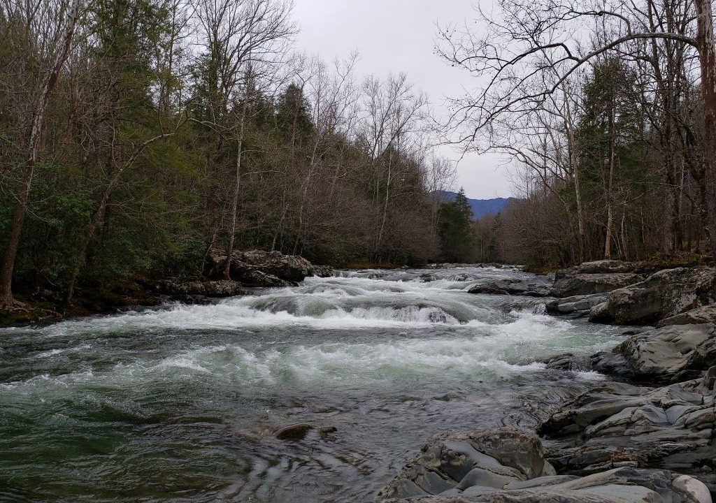 Photo of Outdoor in Pigeon Forge