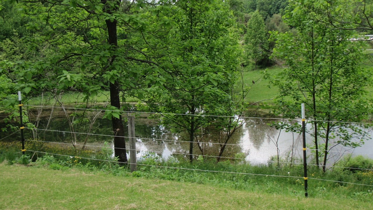 Photo of Outdoor in Pine Ridge