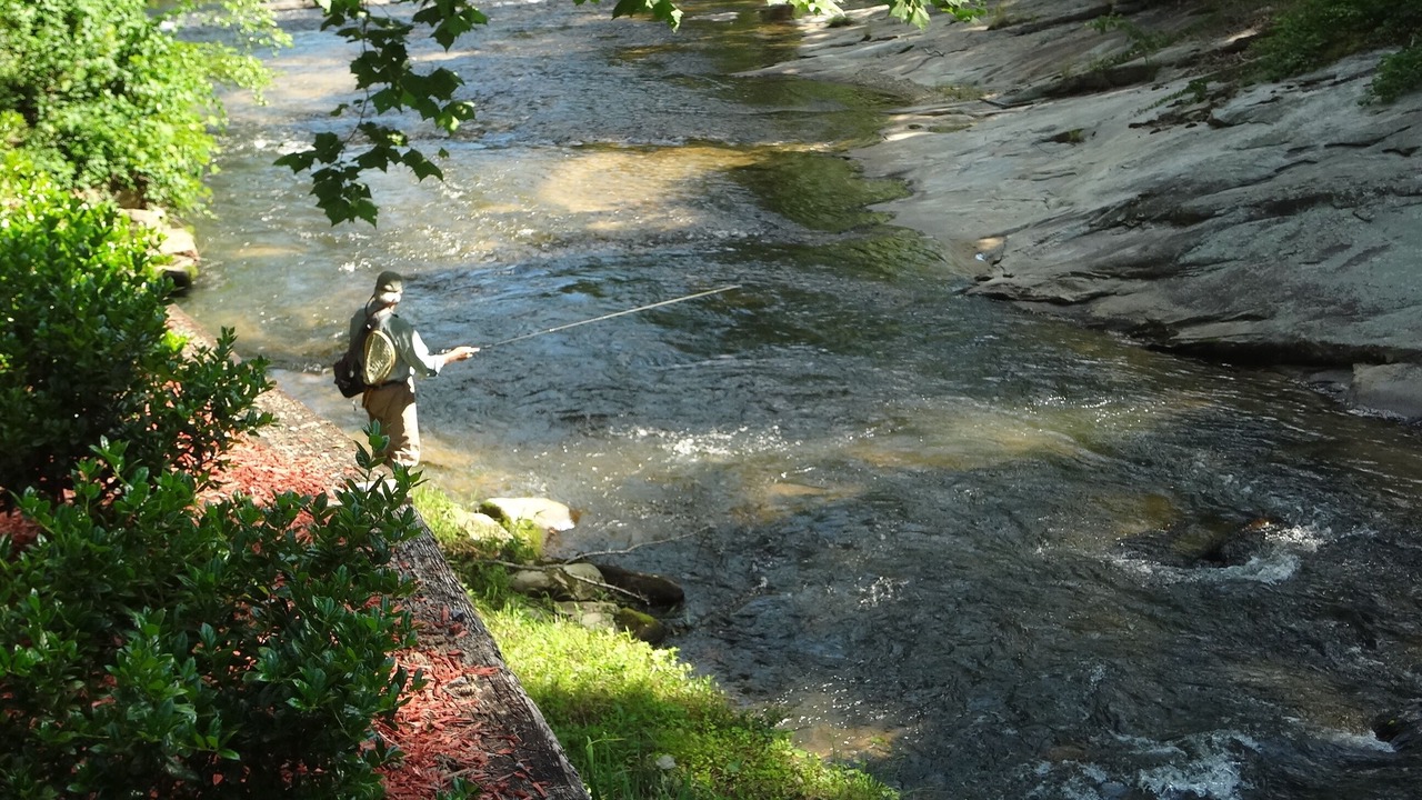 Photo of Outdoor in Traphill