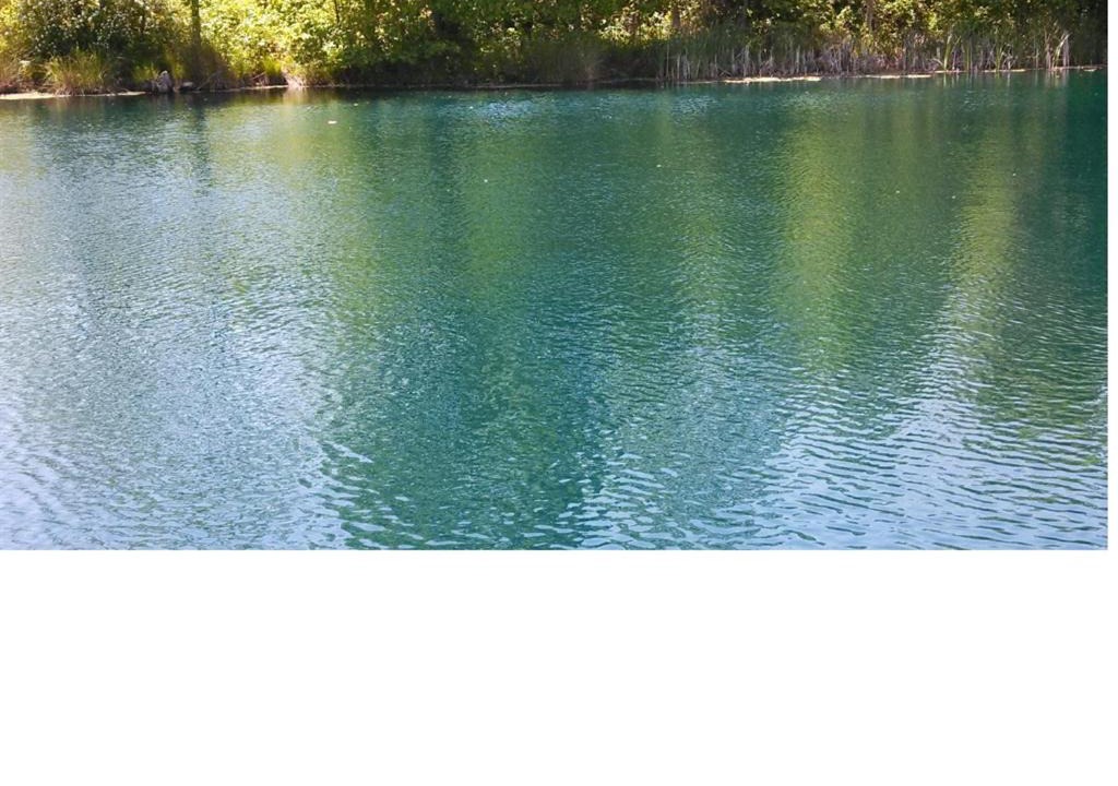 Photo of Others in Hendersonville