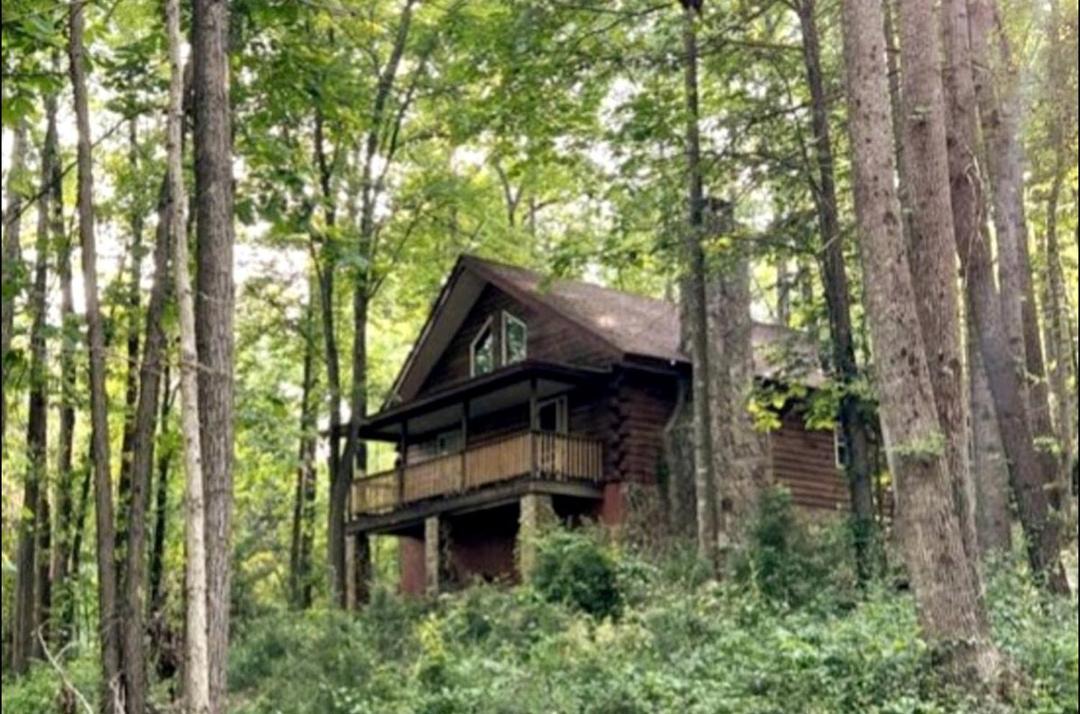 Photo of Others in Traphill