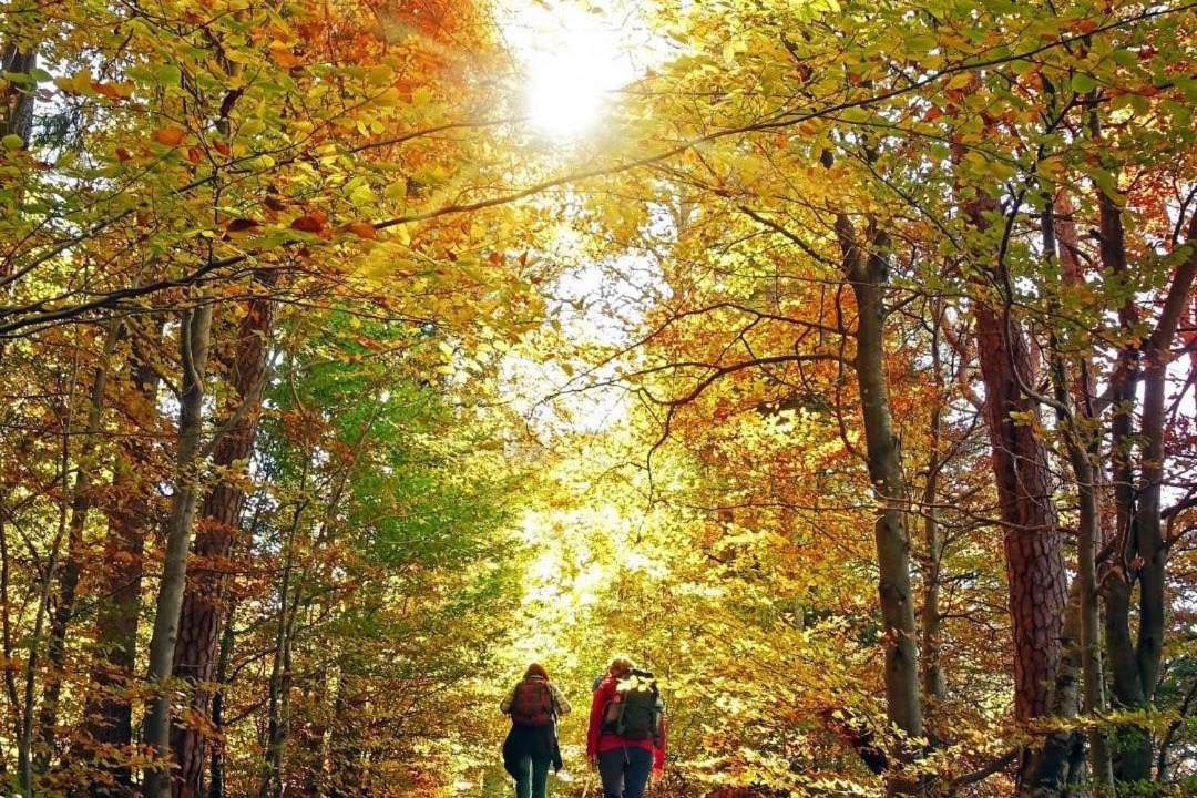 Photo of Others in Sugar Mountain