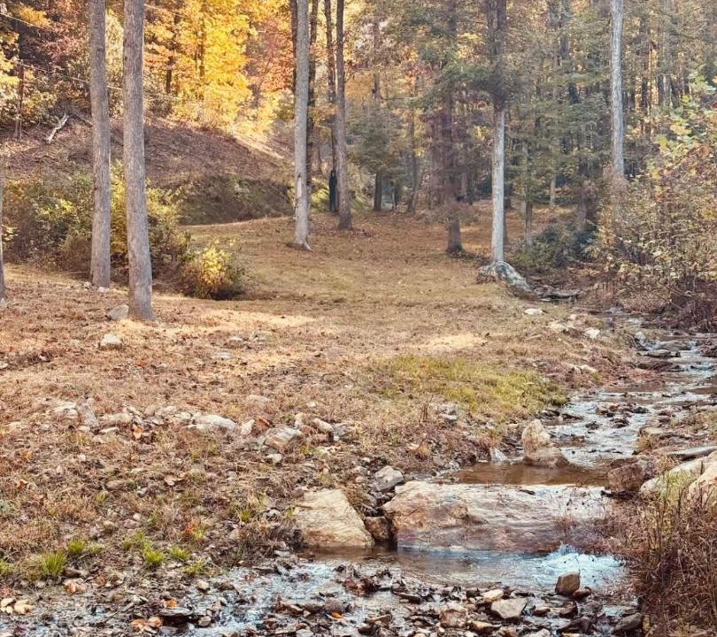 Photo of Others in Flat Rock
