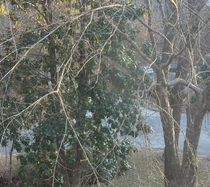 Photo of Others in Danville