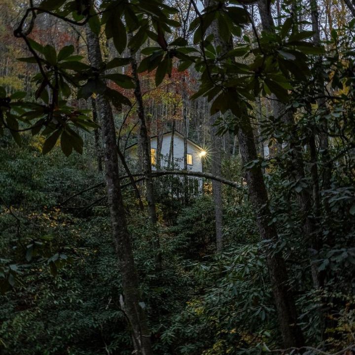 Photo of Others in Mills River