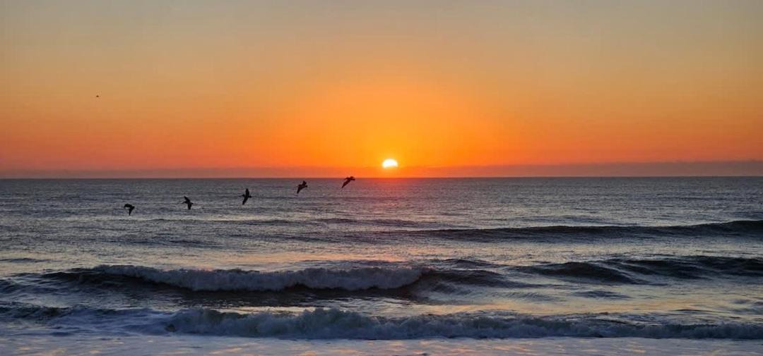 Photo of Others in Waves