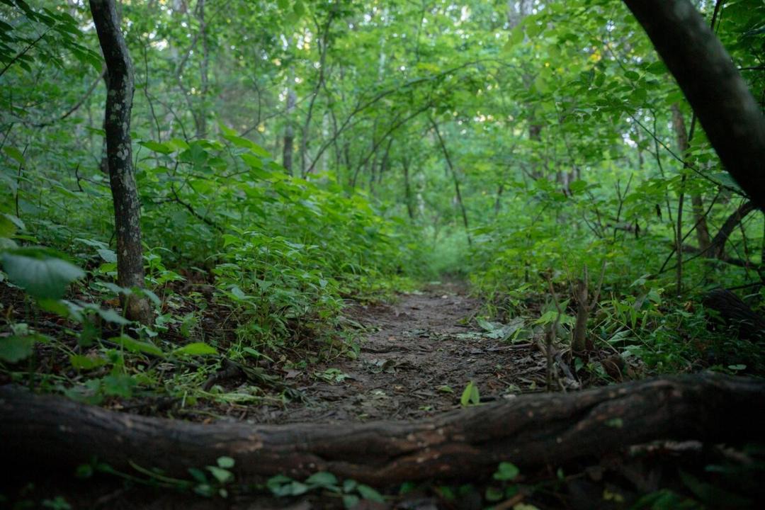 Photo of Others in Rileyville