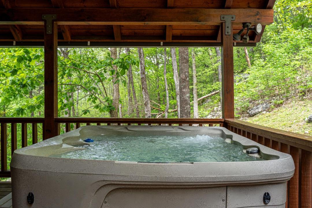 Photo of Others in Smoky Mountains