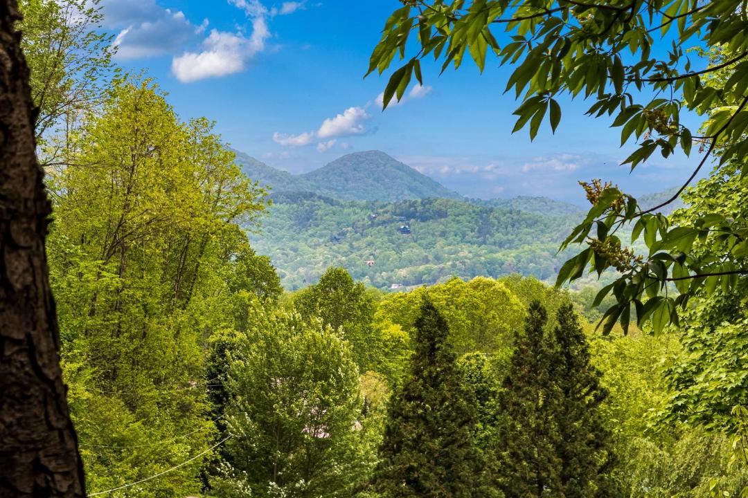 Photo of Others in Smoky Mountains