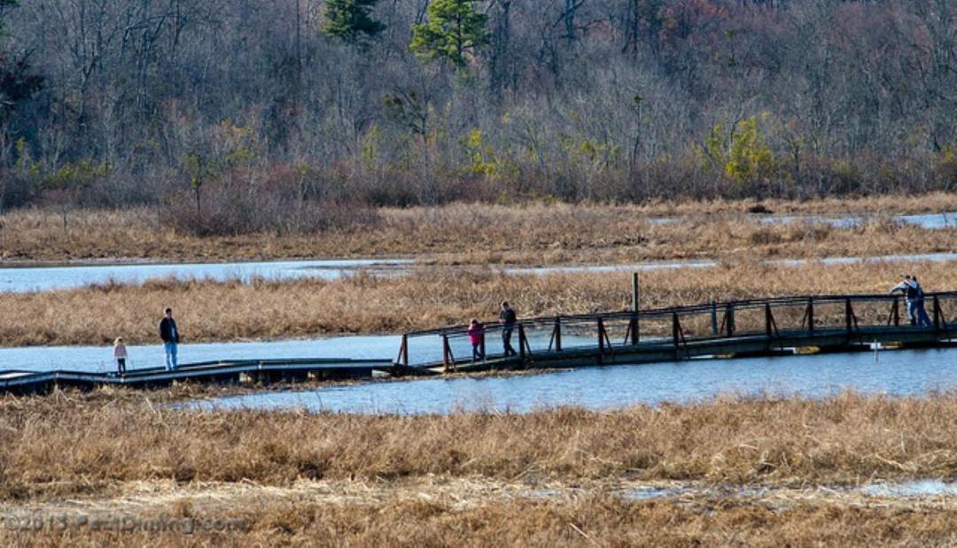 Photo of Others in Hopewell