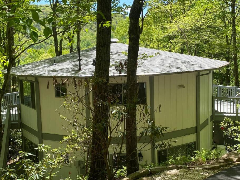 Photo of Others in Montreat
