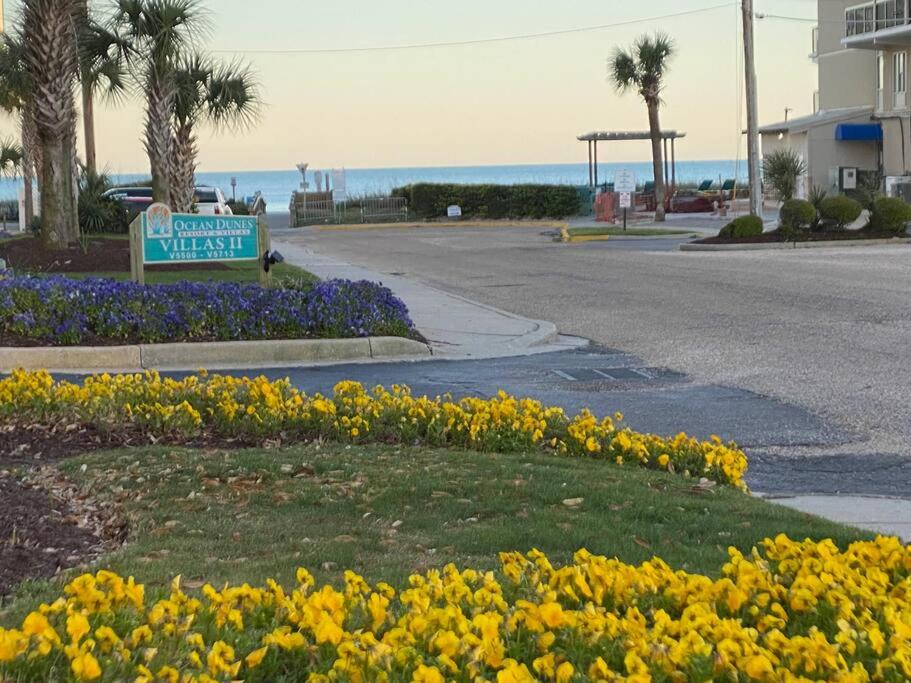 Photo of Others in Myrtle Beach