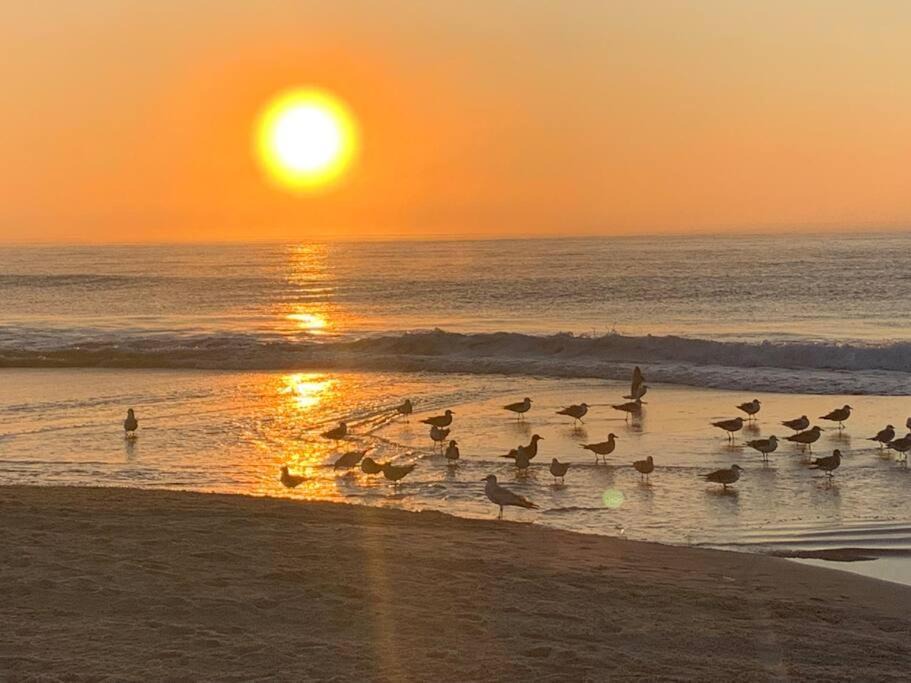 Photo of Others in Myrtle Beach