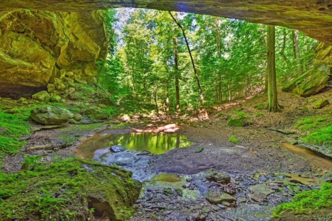 Photo of Others in Mammoth Cave