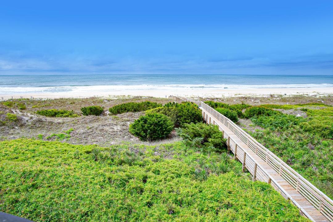 Photo of Others in Morehead City