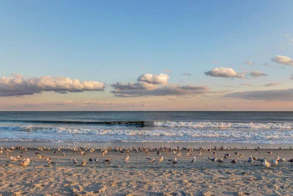 Photo of Others in Myrtle Beach