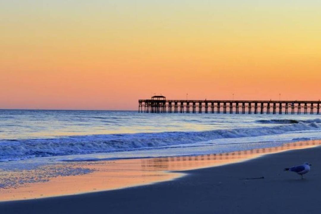 Photo of Others in Myrtle Beach