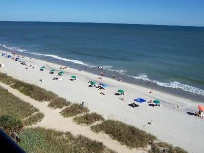 Photo of Others in Myrtle Beach